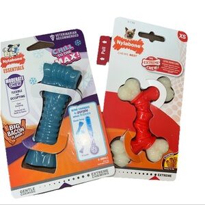 2 Different Nylabone Chews for Xs Dogs Bacon Flavor  See Details For Specifics